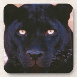 Black Panther Coaster