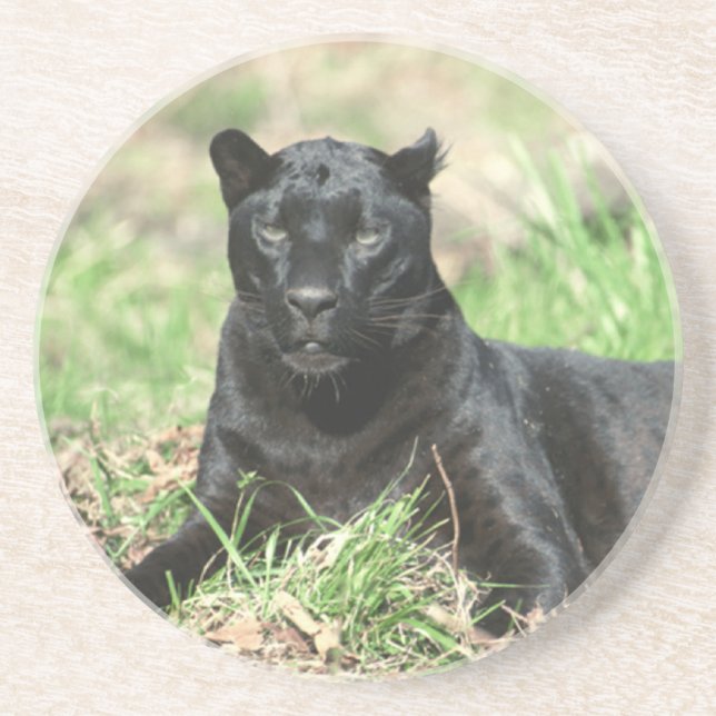 Black Panther Coaster (Front)