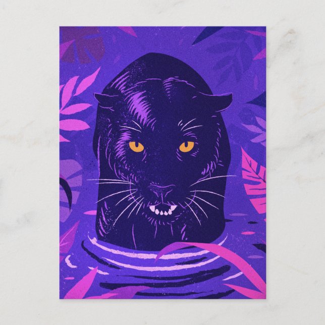 Black Panther Crouching in a River Postcard (Front)