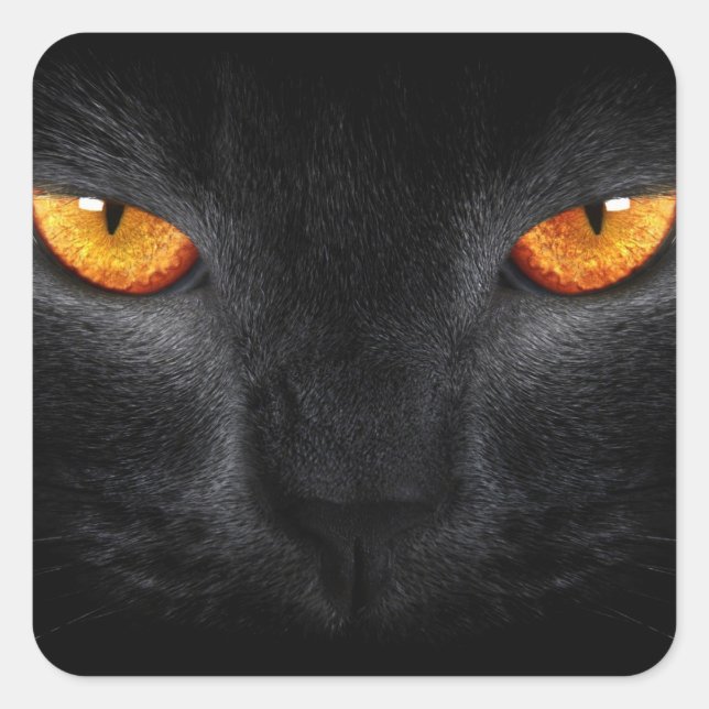 Black Panther Eyes Square Sticker (Front)