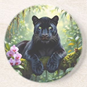 Black Panther in the Jungle Coaster