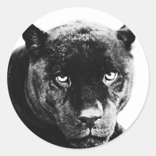 Black Panther Jaguar Classic Round Sticker