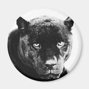 Black Panther Jaguar Magnet