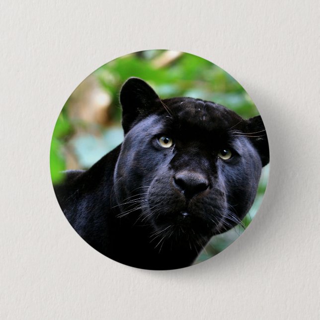 Black Panther Macro 6 Cm Round Badge (Front)