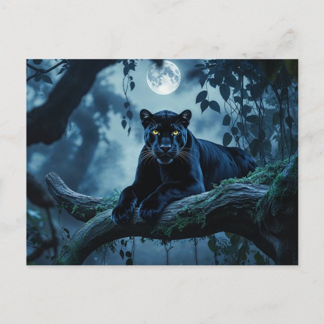 Black Panther on a Tree Branch under Moon  Postcard (Front)