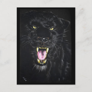 Black Panther Postcard