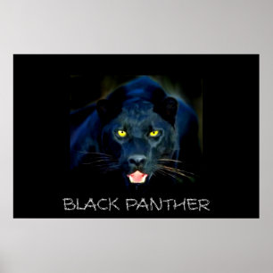 Black Panther Poster