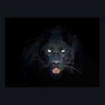 Black panther poster<br><div class="desc">This is a beautiful black panther,  on a black background. Those eyes are a little spooky to me,  but this is the part that I like the most. I think that it makes a great poster.</div>