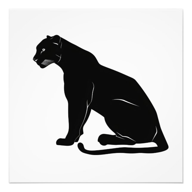 Black Panther Silhouette Photo Print (Front)