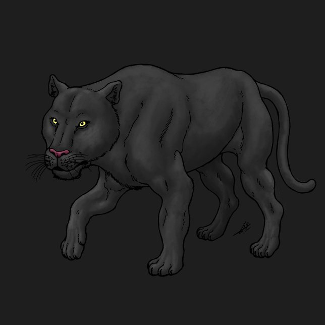 Black Panther T-Shirt (Creator Uploaded)