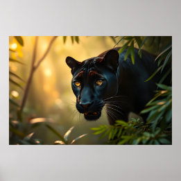 Black Panther Wild Jungle Leopard Big Cat Poster