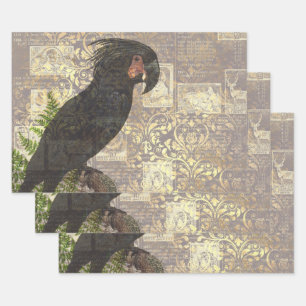 Black Parrot with Damask and Newsprint Wrapping Paper Sheet