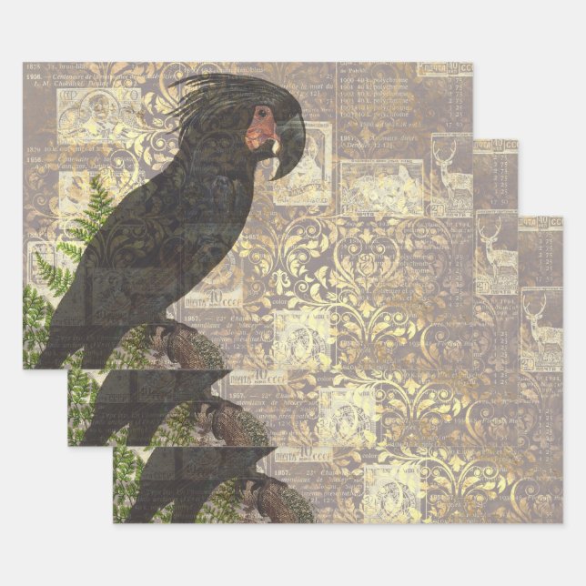 Black Parrot with Damask and Newsprint Wrapping Paper Sheet (Set)