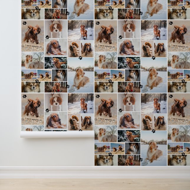 Black Paw Prints Your Dog 14 Photos Pattern Wallpaper (Application)