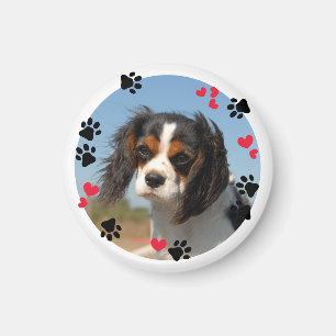 Black Paws Red Hearts White Border Pet Photo Magnet