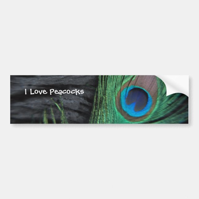 Black Peacock Feather Bumper Sticker (Front)