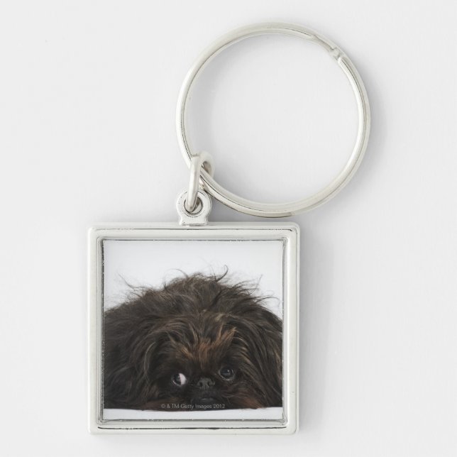 Black Pekingese dog lying down Key Ring (Front)