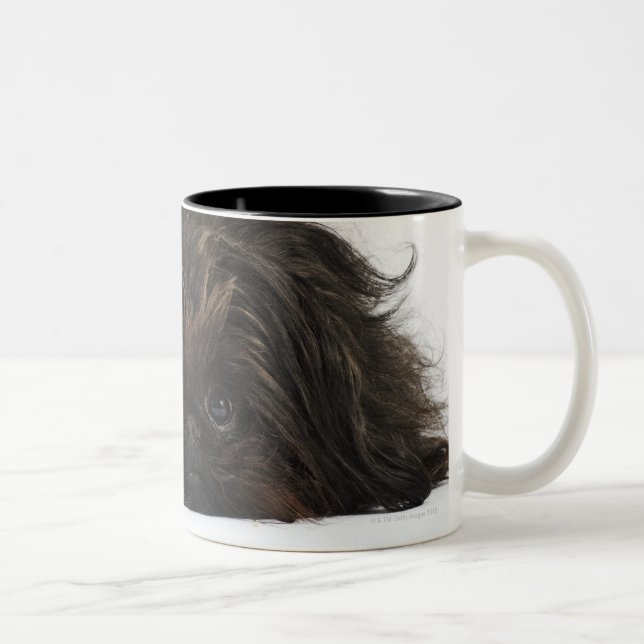 Black Pekingese dog lying down Two-Tone Coffee Mug (Right)