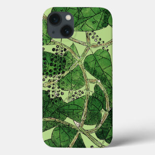 Black Pepper Plant, 1578 iPhone 13 Case