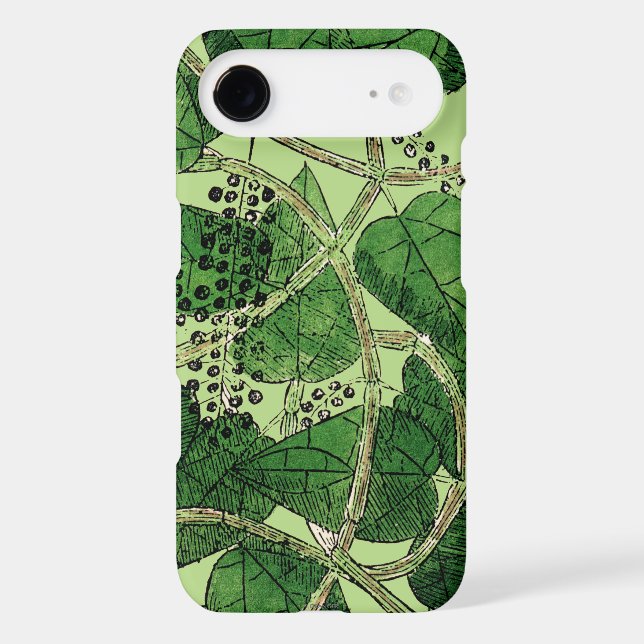 Black Pepper Plant, 1578 Case-Mate Samsung Galaxy Case (Back)