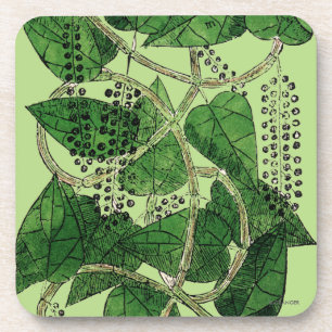 Black Pepper Plant, 1578 Coaster