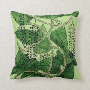 Black Pepper Plant, 1578 Cushion