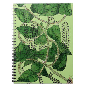 Black Pepper Plant, 1578 Notebook