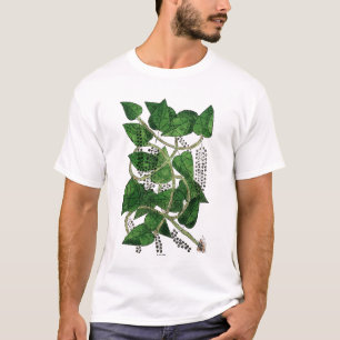 Black Pepper Plant, 1578 T-Shirt