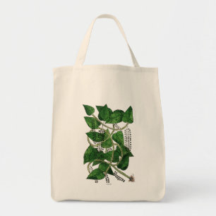 Black Pepper Plant, 1578 Tote Bag