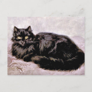 Black Persian Cat Postcard