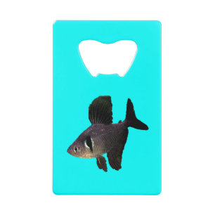 Black Phantom Tetra