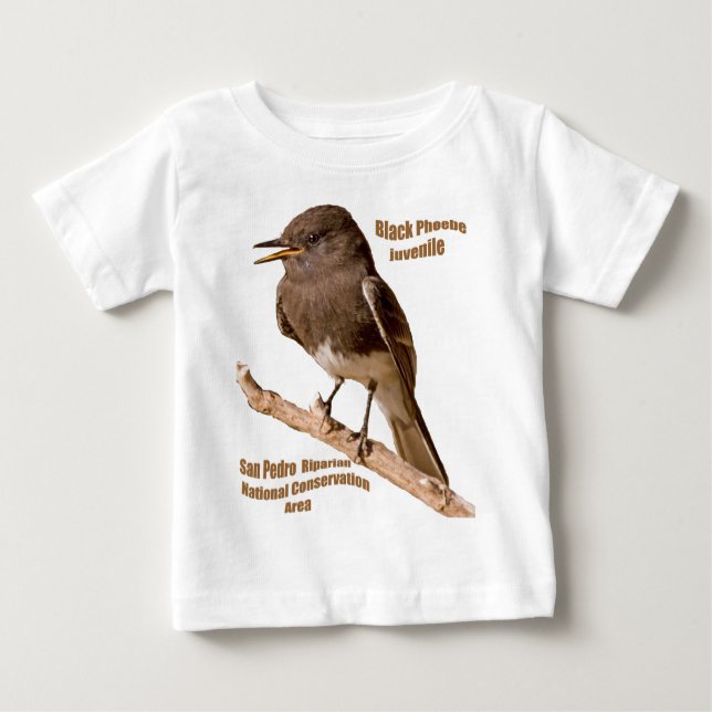 Black Phoebe Baby T-Shirt (Front)