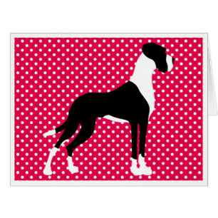 Black Piebald Great Dane