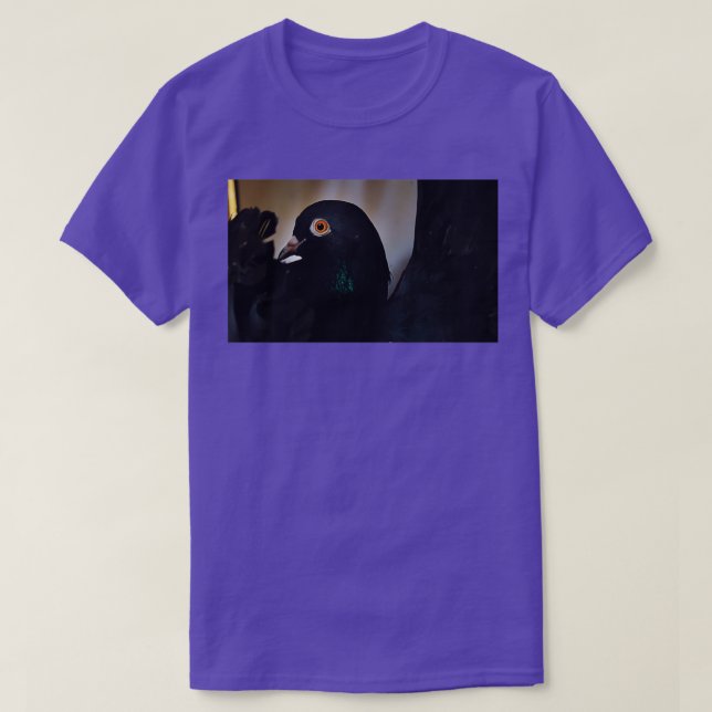 Black Pigeon Orange eyes T-Shirt (Design Front)