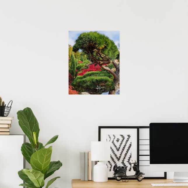 Black Pine and Red Japanese Maple Tree Poster (Home Office)