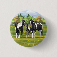 Black Pinto Paint Quarter Horses In Summer Pasture