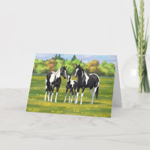 Black Pinto Paint Quarter Horses In Summer Pasture Card