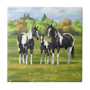 Black Pinto Paint Quarter Horses In Summer Pasture Ceramic Tile