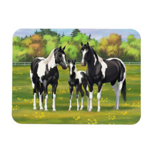 Black Pinto Paint Quarter Horses In Summer Pasture Magnet
