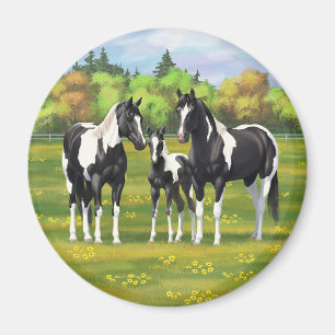 Black Pinto Paint Quarter Horses In Summer Pasture Magnet