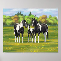 Black Pinto Paint Quarter Horses In Summer Pasture