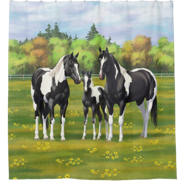 Black Pinto Paint Quarter Horses In Summer Pasture Shower Curtain (Front)