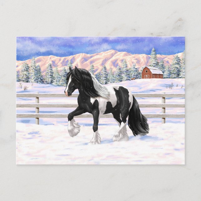 Black Pinto Piebald Gypsy Vanner Draught Horse Postcard (Front)