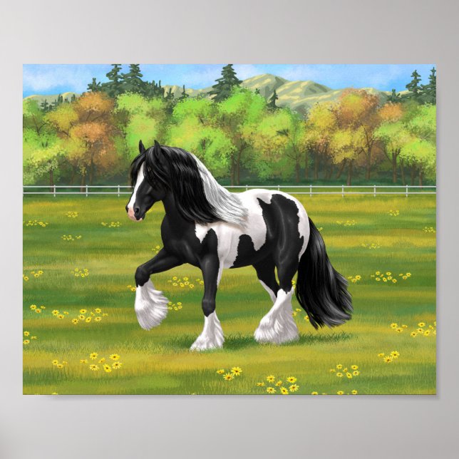 Black Pinto Piebald Gypsy Vanner Draught Horse Poster (Front)