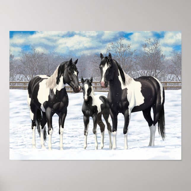 Black Pinto Quarter Horse Paint Horses In Snow Poster (Front)