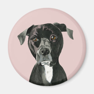 Black Pit Bull Dog Portrait Magnet
