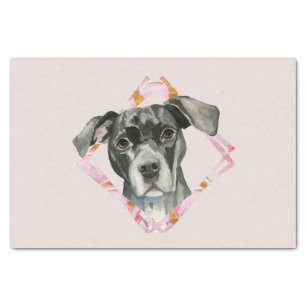 Black Pit Bull Dog Portrait Pink Tissue Paper