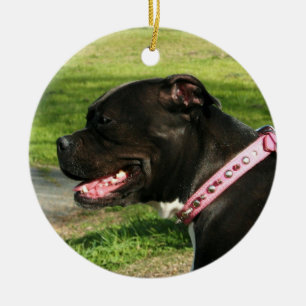 Black pitbull ornament
