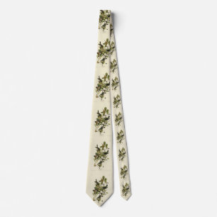 Black-poll Warbler from Audubon's Birds of America Tie