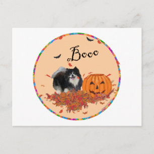 Black Pomeranian Halloween Postcard